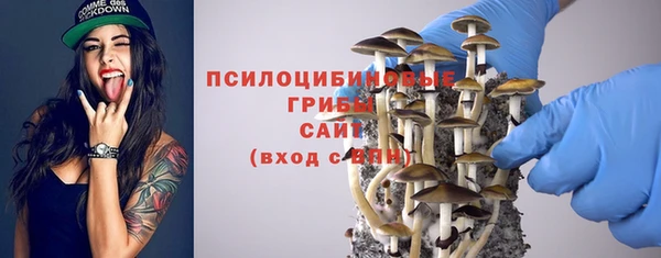 хмурый Надым
