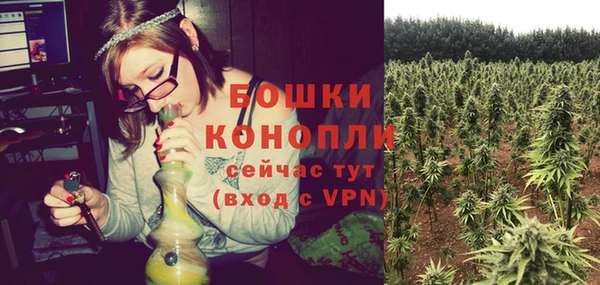 стафф Гусь-Хрустальный