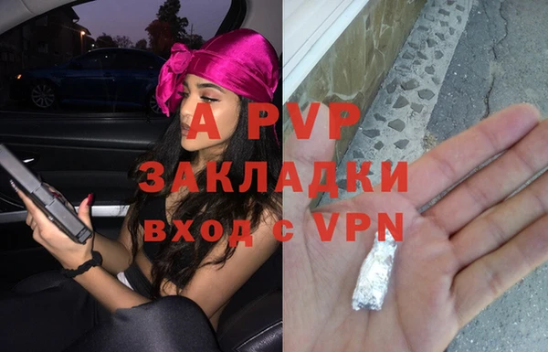 ГАЛЛЮЦИНОГЕННЫЕ ГРИБЫ Наволоки