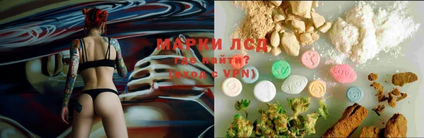 ГАЛЛЮЦИНОГЕННЫЕ ГРИБЫ Наволоки