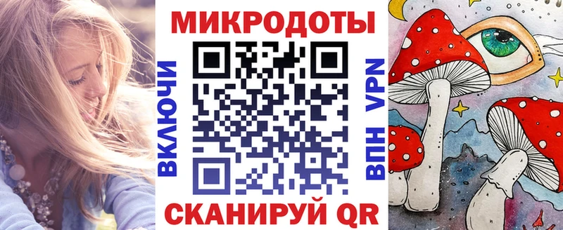 где можно купить   Дно  Галлюциногенные грибы прущие грибы 